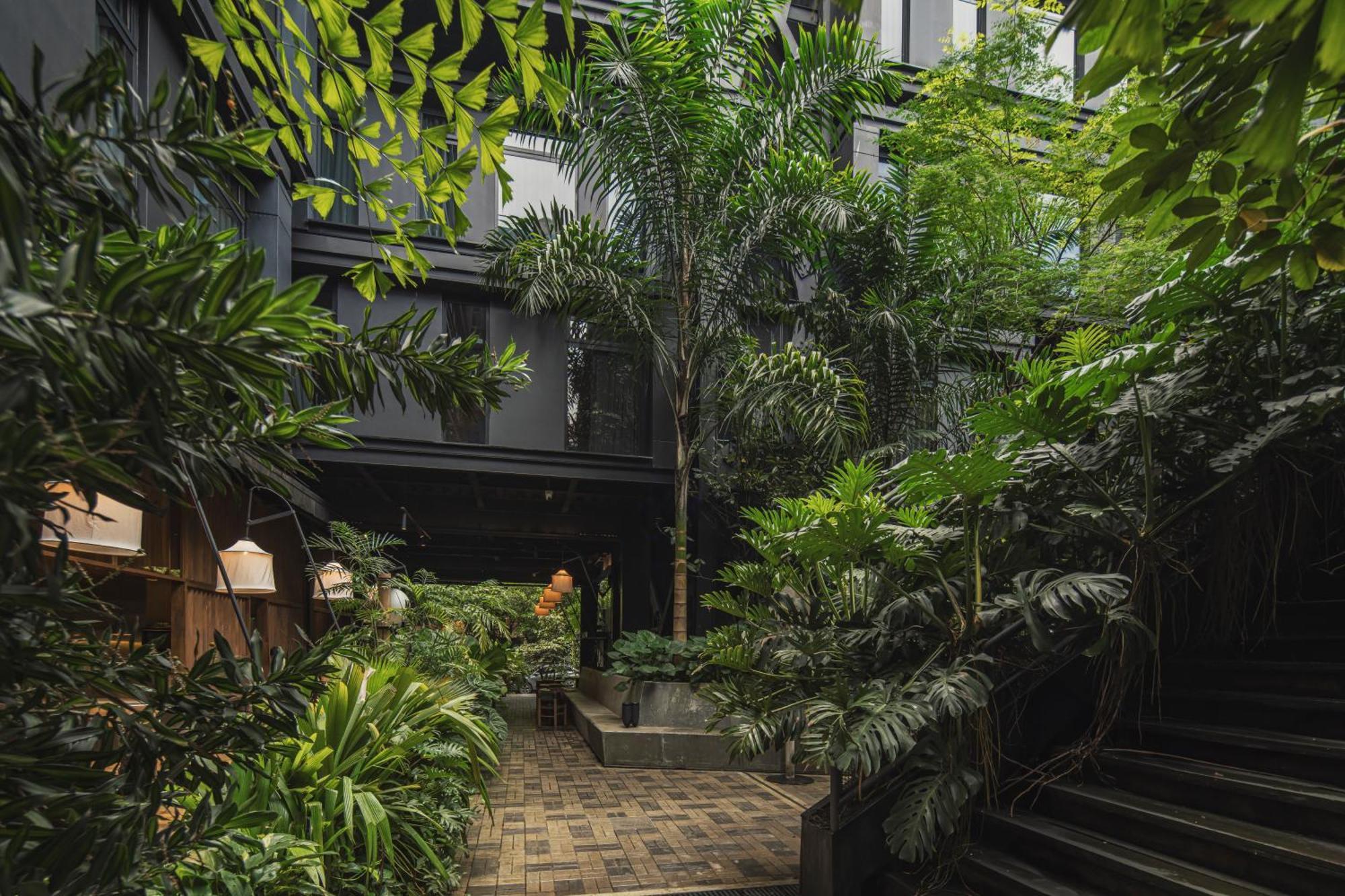 The Click Clack Hotel Medellín Dış mekan fotoğraf The interior courtyard of the hotel